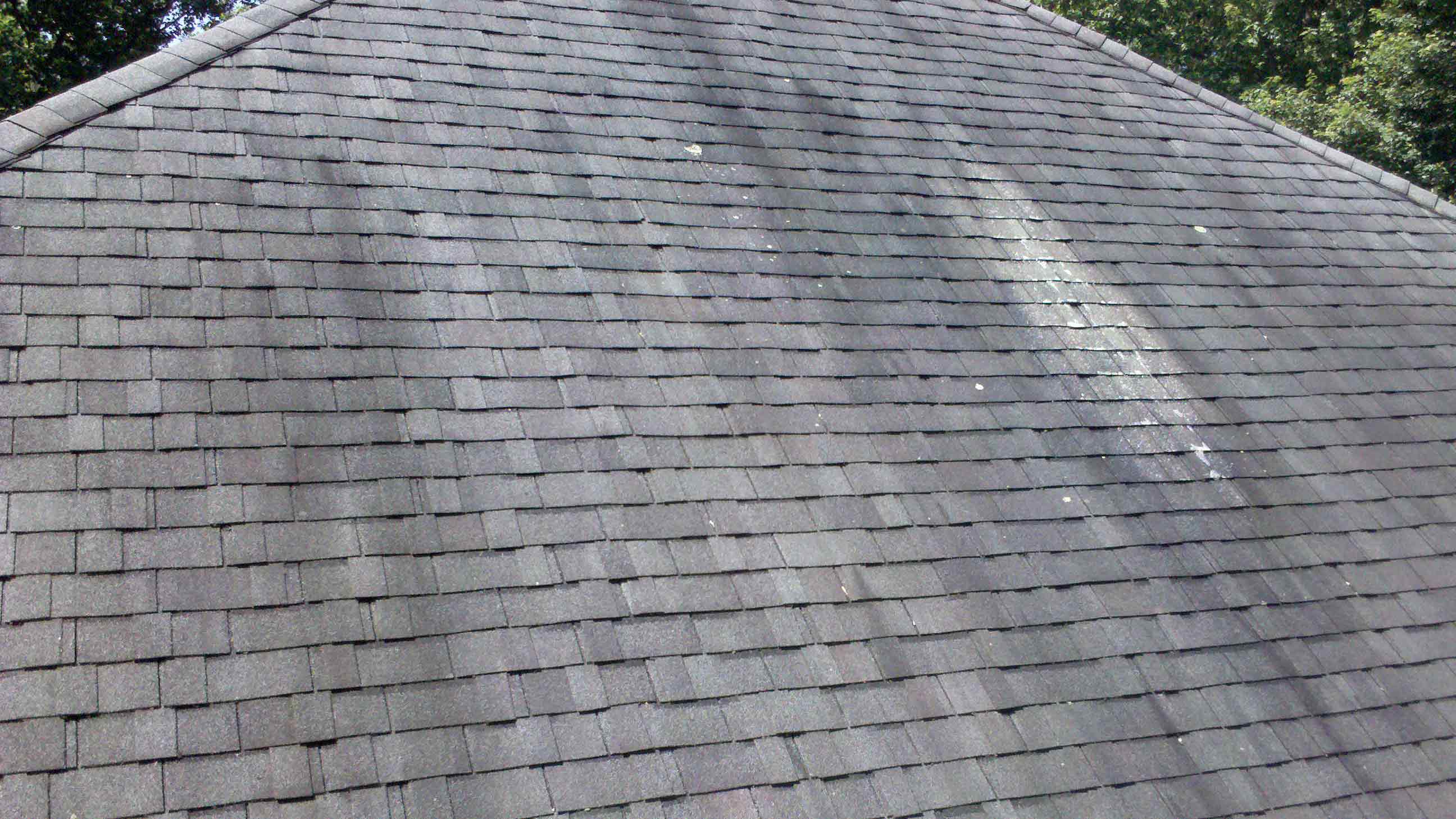Gladiator Exterior Washers can get rid of Gloeocapsa Magma and clean your roof.